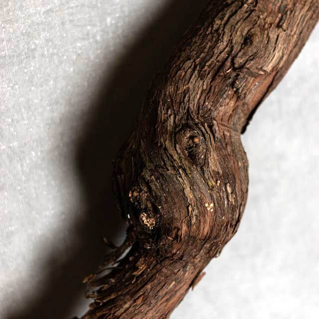 Detail druivenstronken (5)