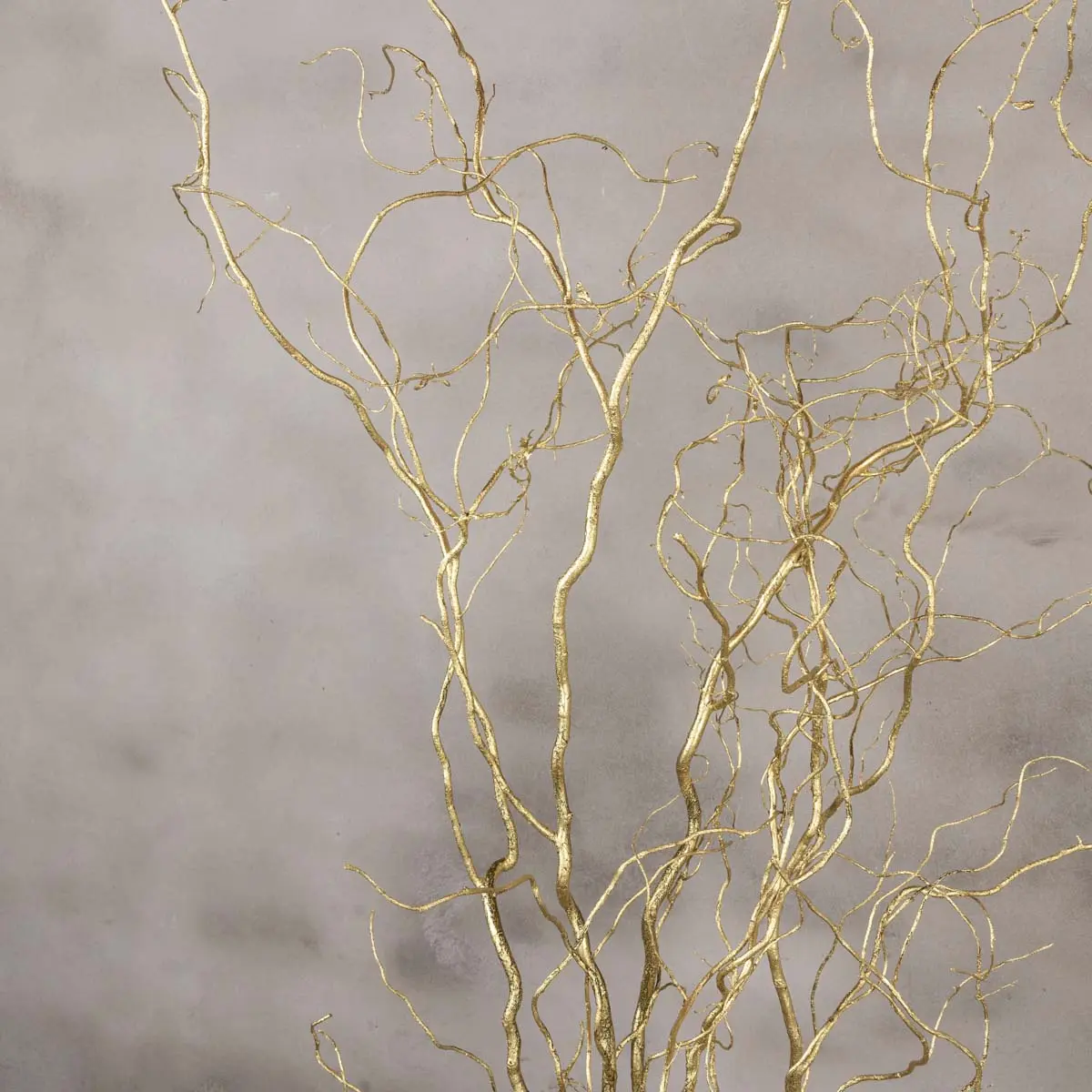 Detail gouden takken (1)