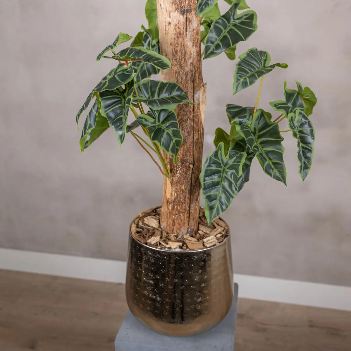 Detail kunstplant Alocasia (2)