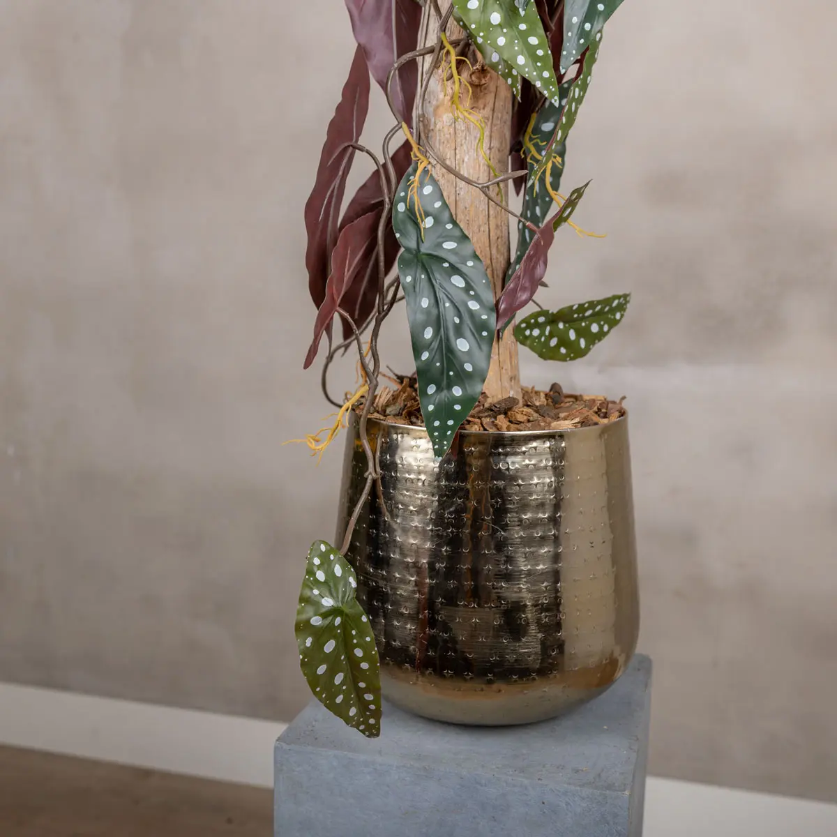 Detail kunstplant Stipbegonia (1)