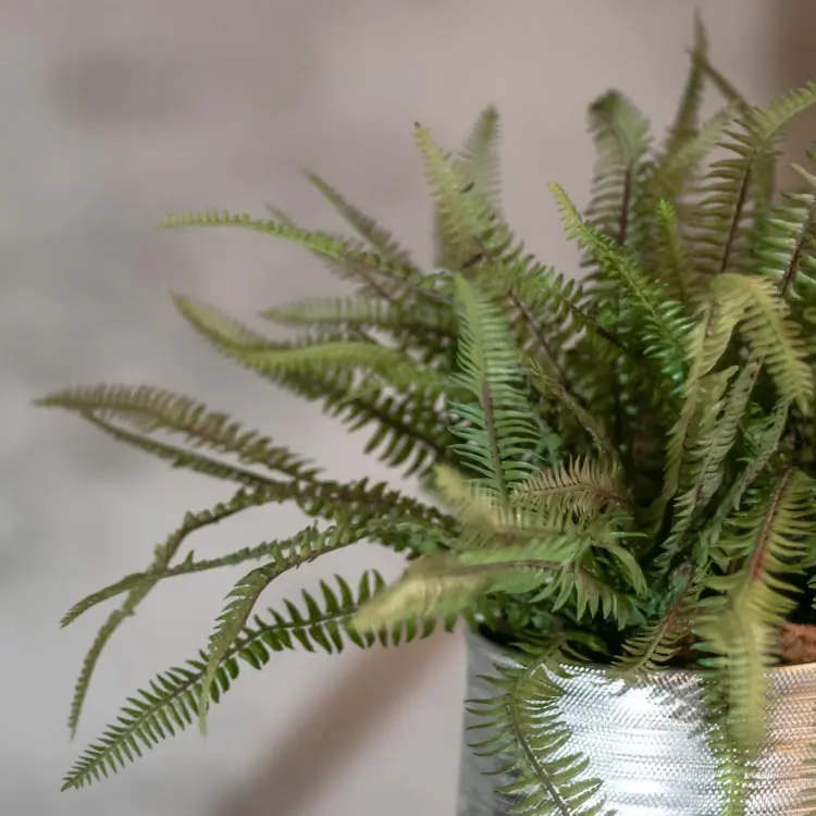 Detail kunstplant Varen