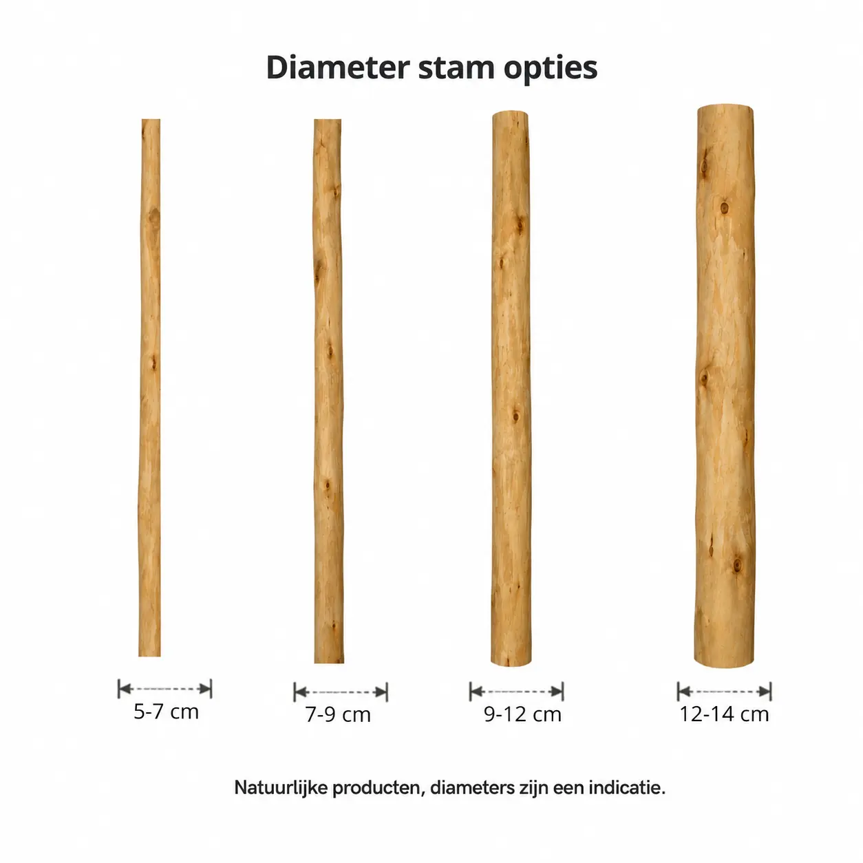 Diameter stamopties stam old naturel