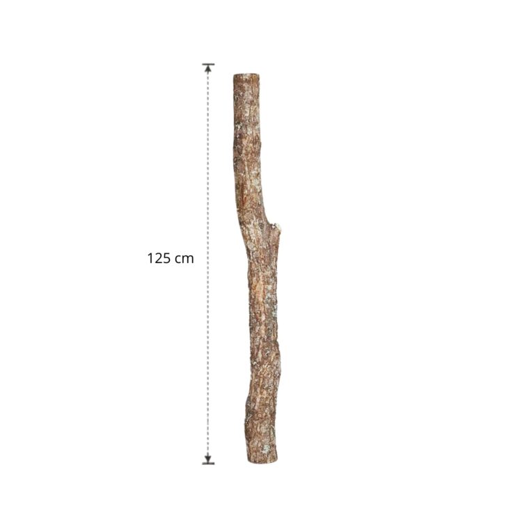 Eikenstam 125 cm (4)