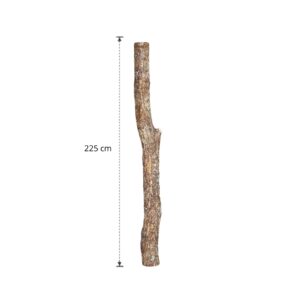 Eikenstam 225 cm (8)