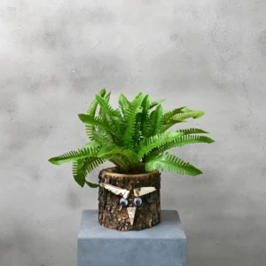 Eikenstammetje Bosrijk