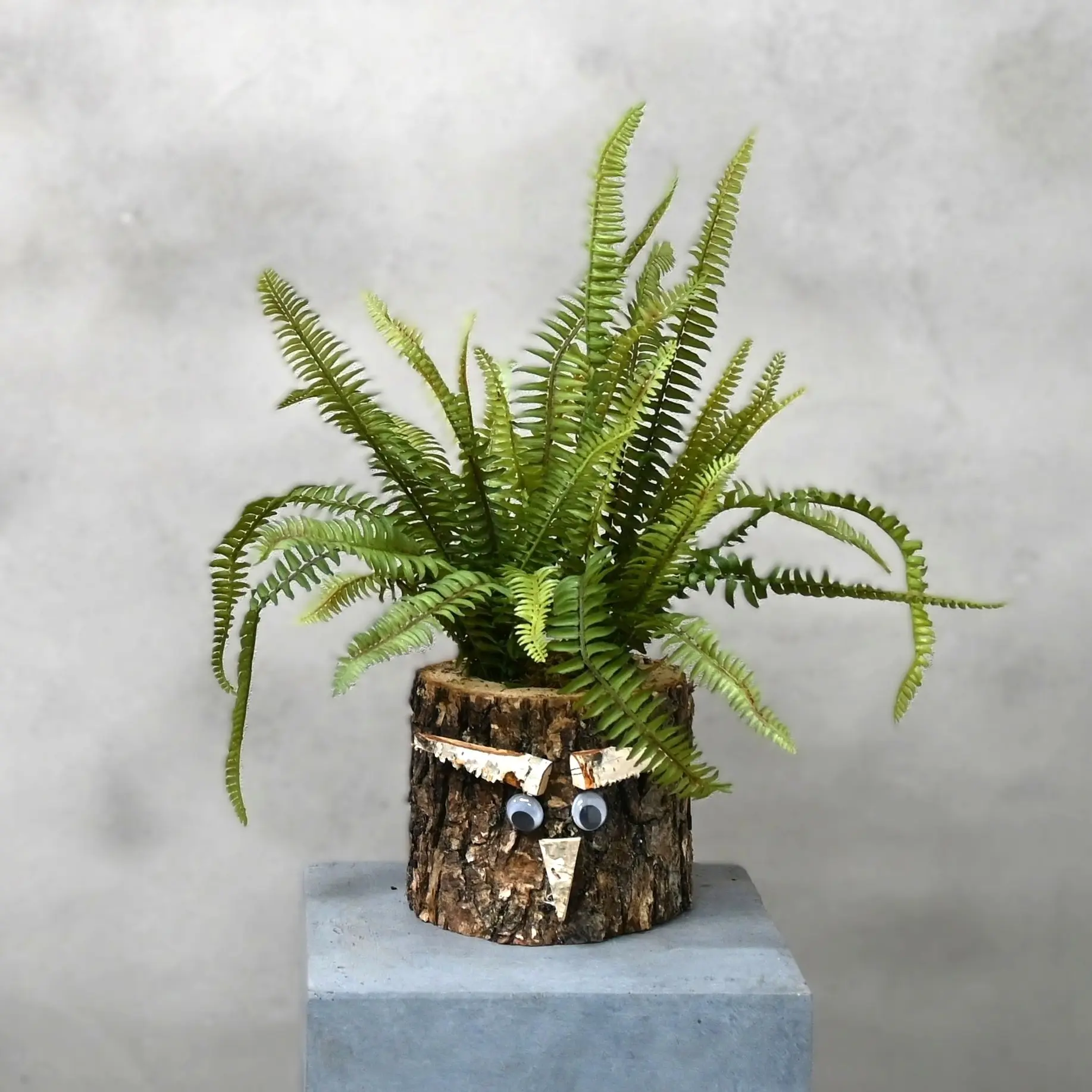 Eikenstammetje Varenwoud (1)