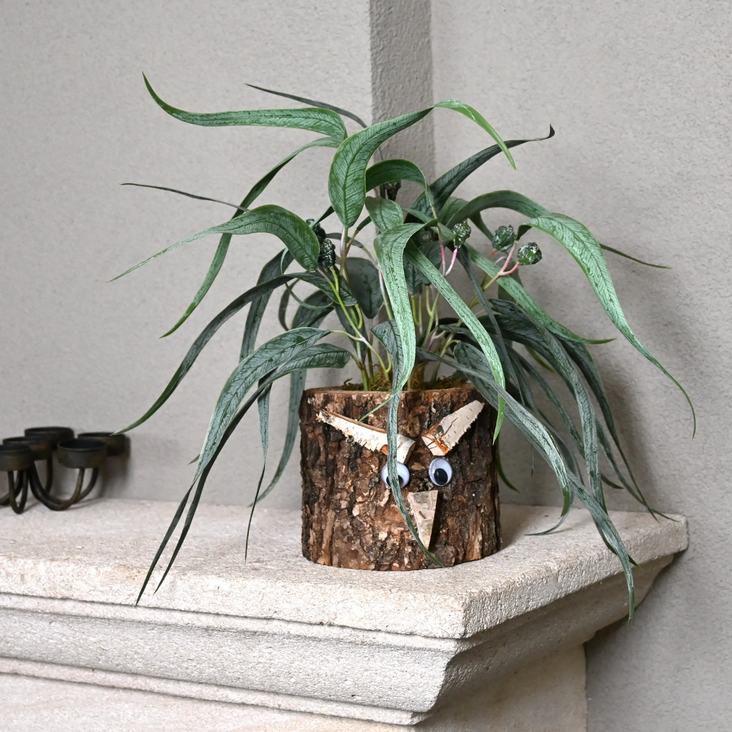 Eikenstammetje Wigenrust (2)