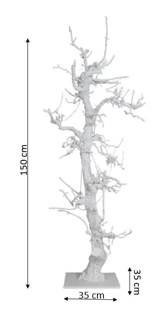 Fruitboom groot Wit 150cm, afmetingen