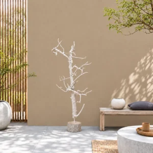 Fruitboom klein wit 120 cm