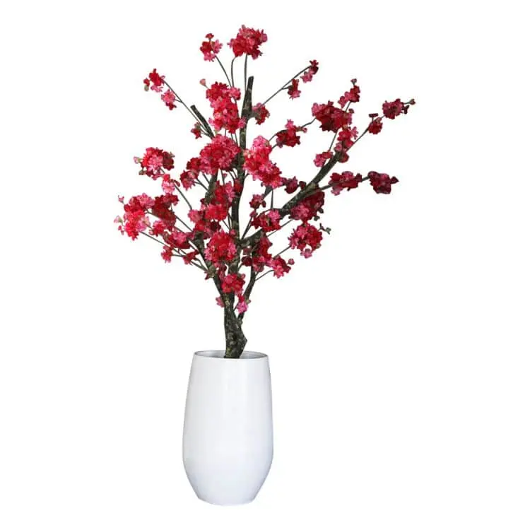 Bloesemboom Vieve