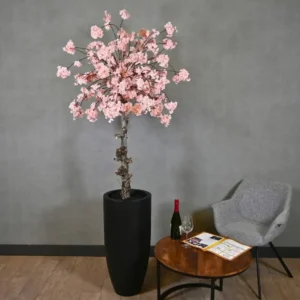 Grote bloesemboom Claire met pot Roze 200cm