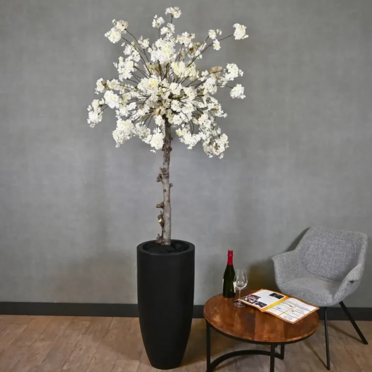 Grote bloesemboom Gaia met pot Wit 200cm