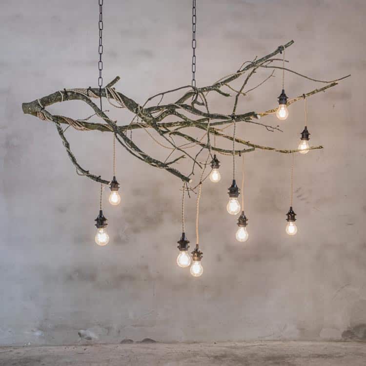 Knoops Branch and Tree Design