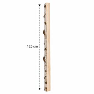 Halve Berkenstam 125 cm
