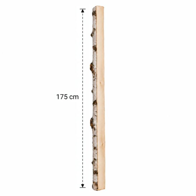 Halve Berkenstam 175 cm