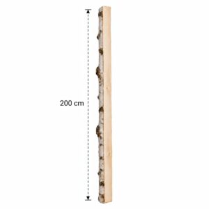 Halve Berkenstam 200 cm