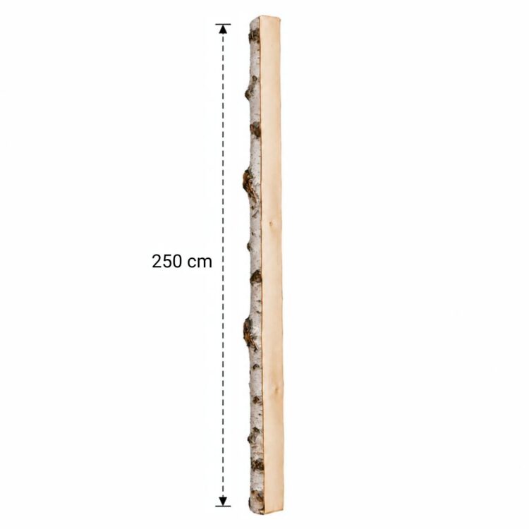 Halve Berkenstam 250 cm