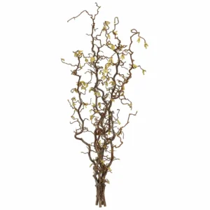 Hazelaartakken 120 cm
