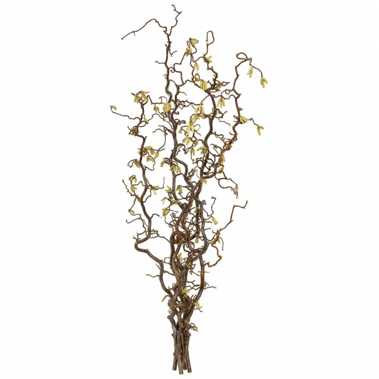 Hazelaartakken 120 cm