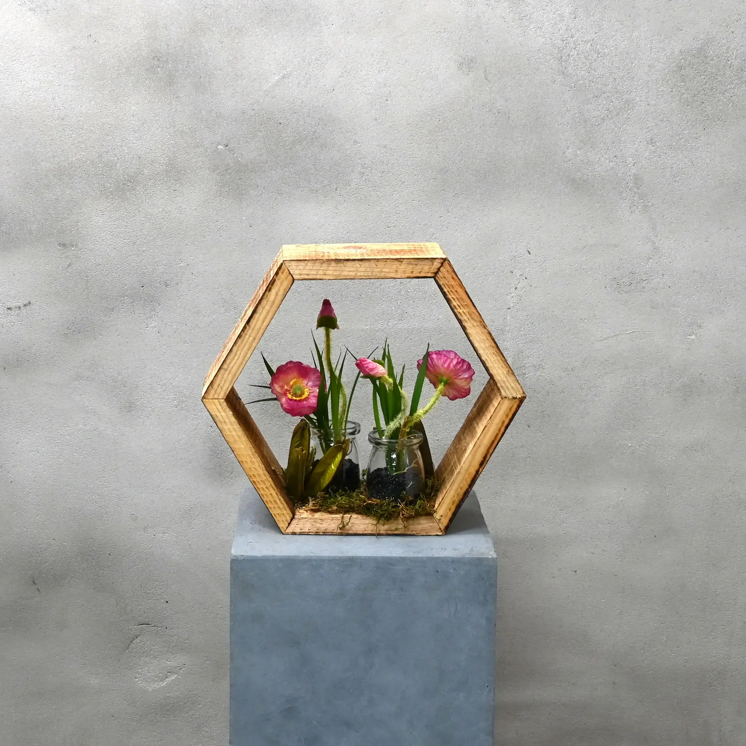 Hexagon Botanische Tuin