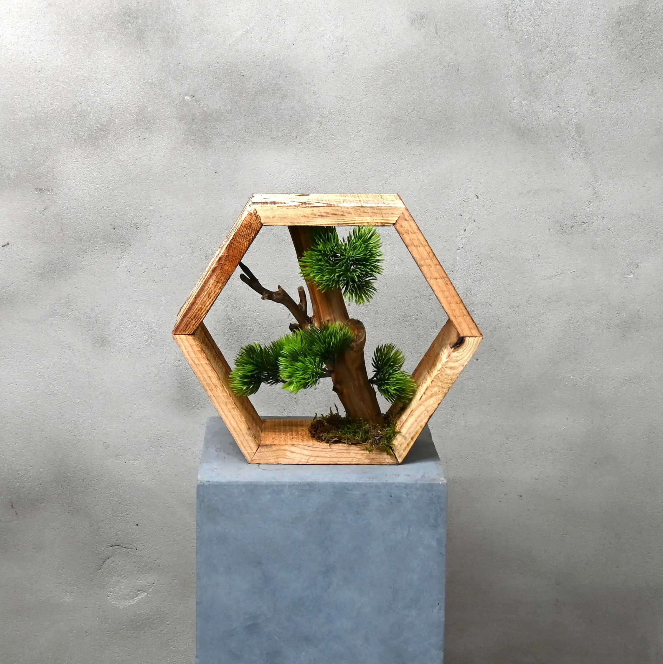 Hexagon Japandi Stijl (1)