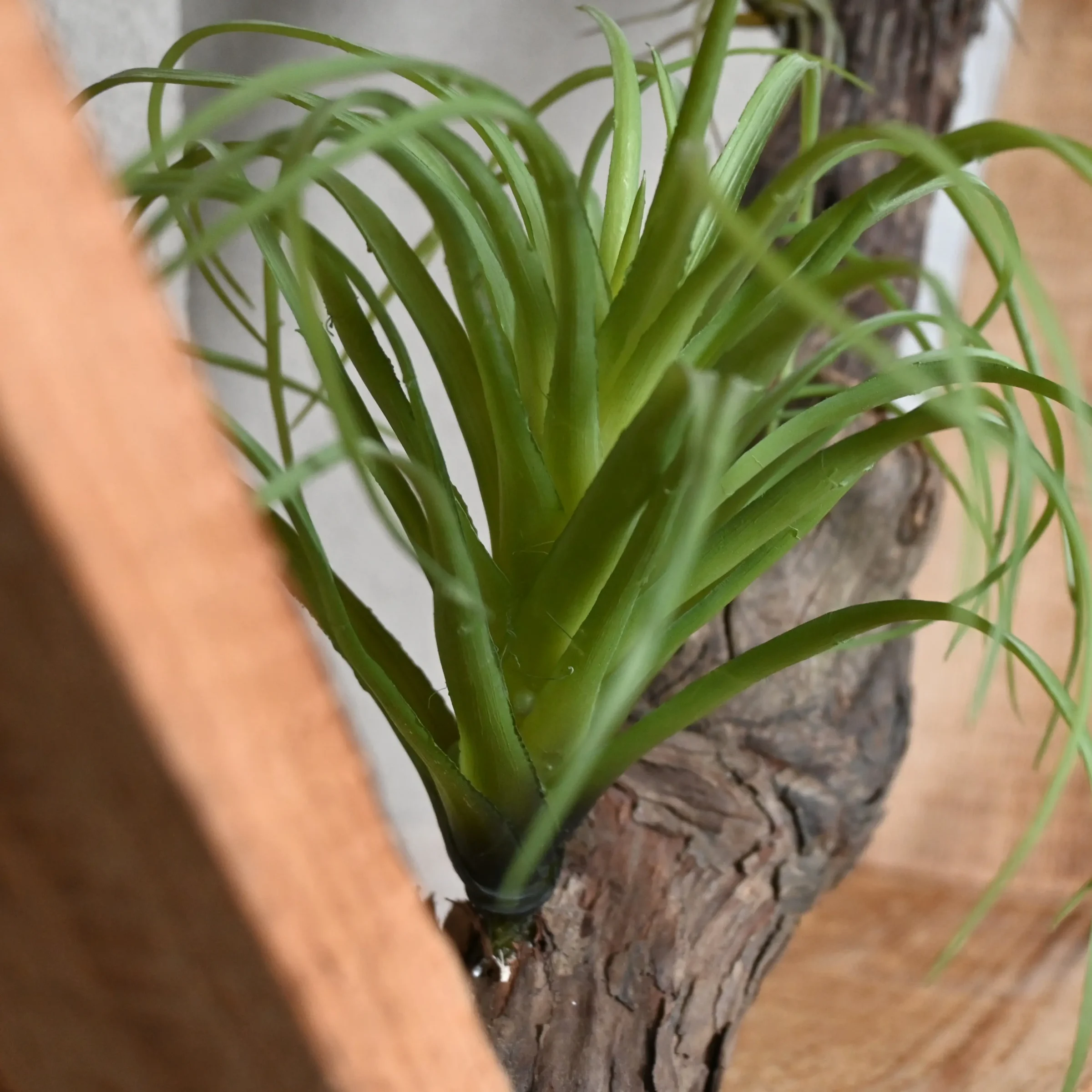 Hexagon Koloniaal Groen (3)