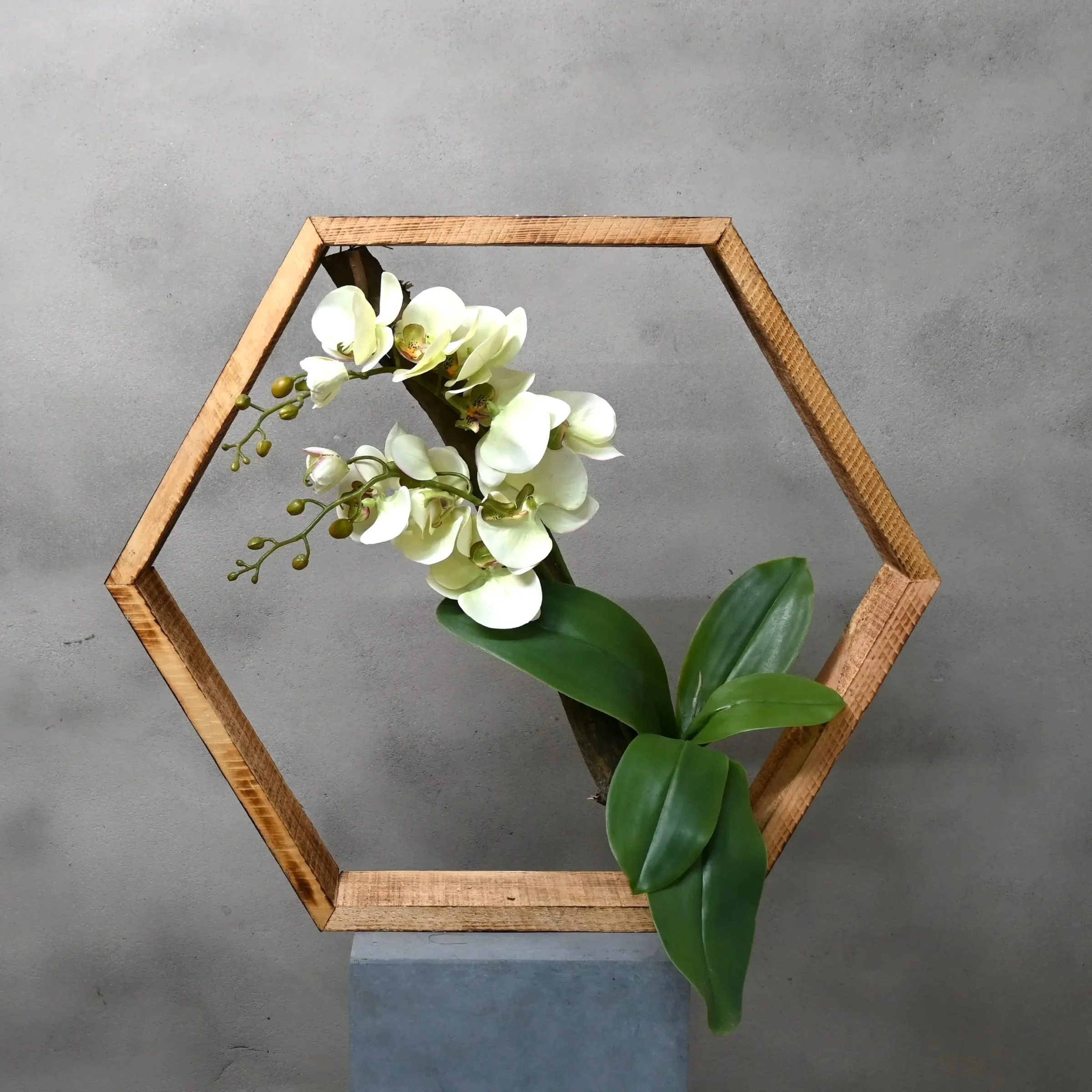 Hexagon Orchidee Geluk (1)