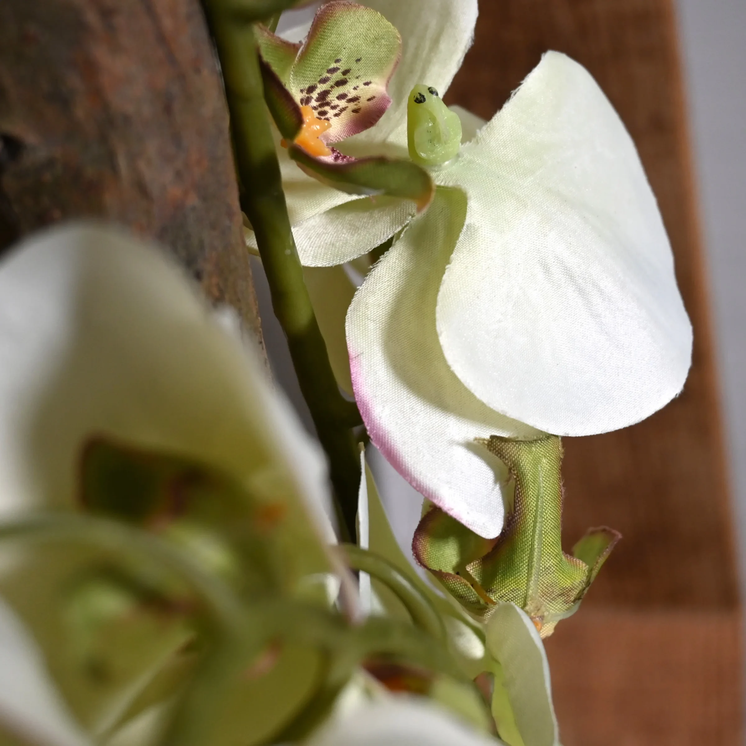 Hexagon Orchidee Geluk (3)