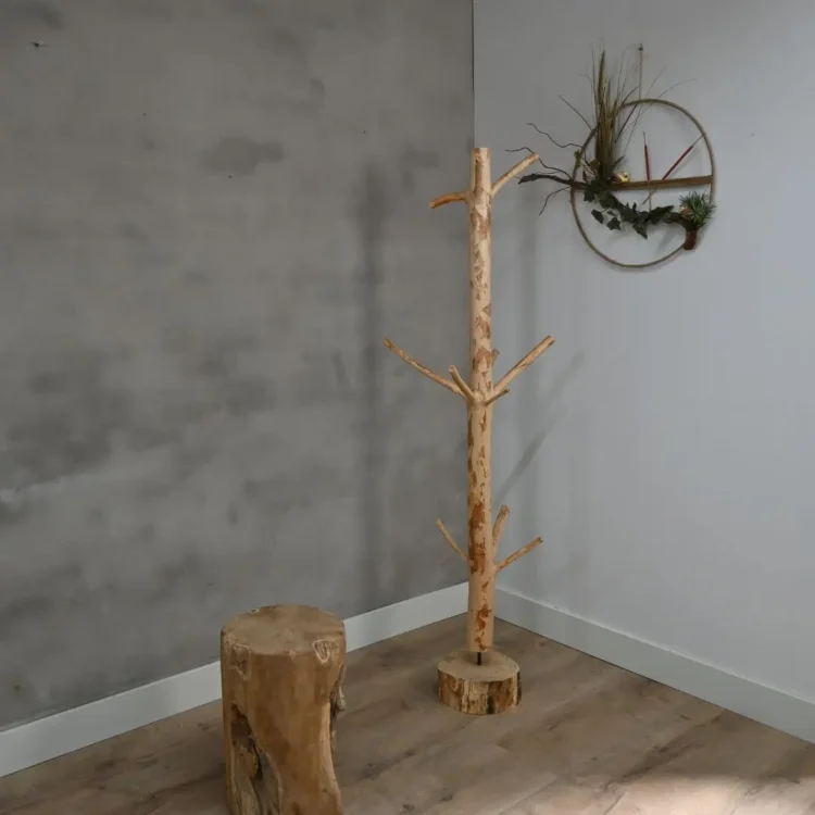 Kapstok boom 6-8cm doorsnee (1)