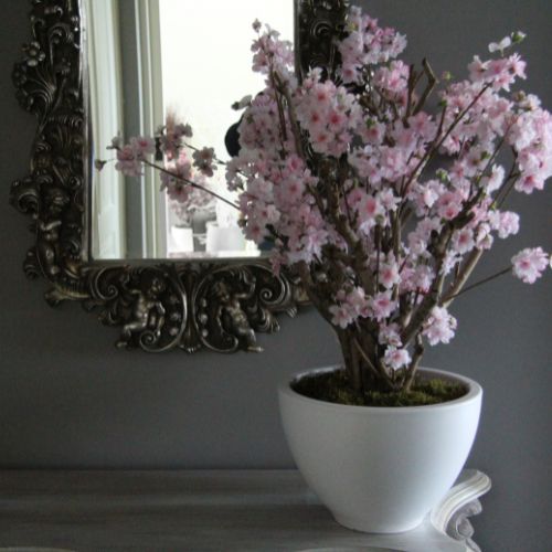 Kleine-bloesemboom-met-pot-in-hal-Decoratietakken