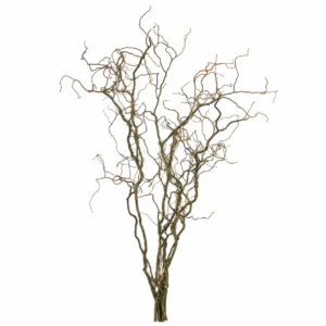Kronkelwilgentakken naturel 150 cm