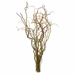 Kronkelwilgentakken naturel 70 cm