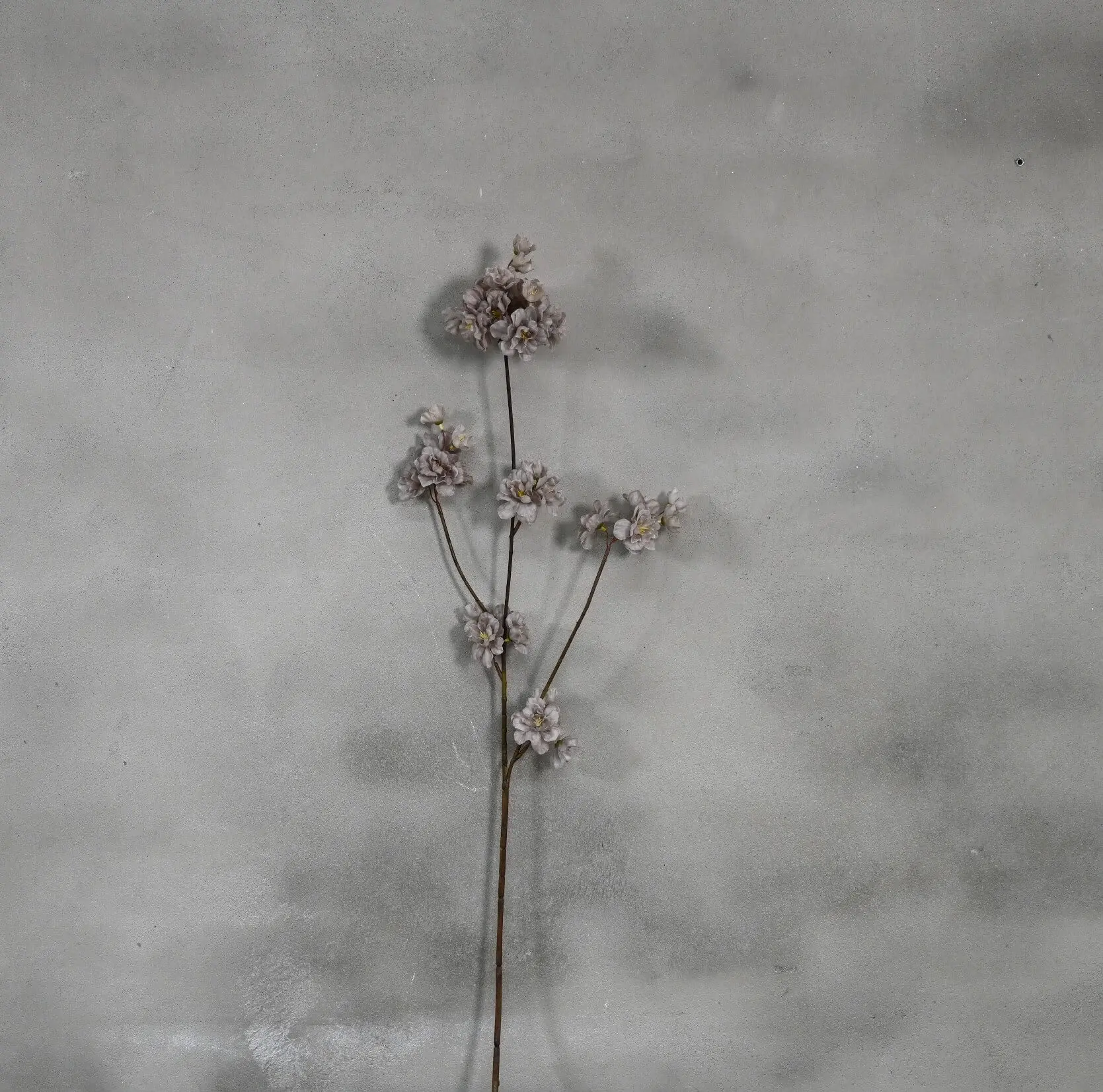 Kunst appelbloesemtak lila