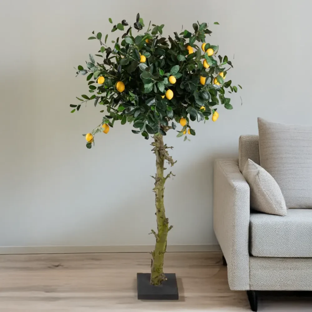 Kunst citroenboom