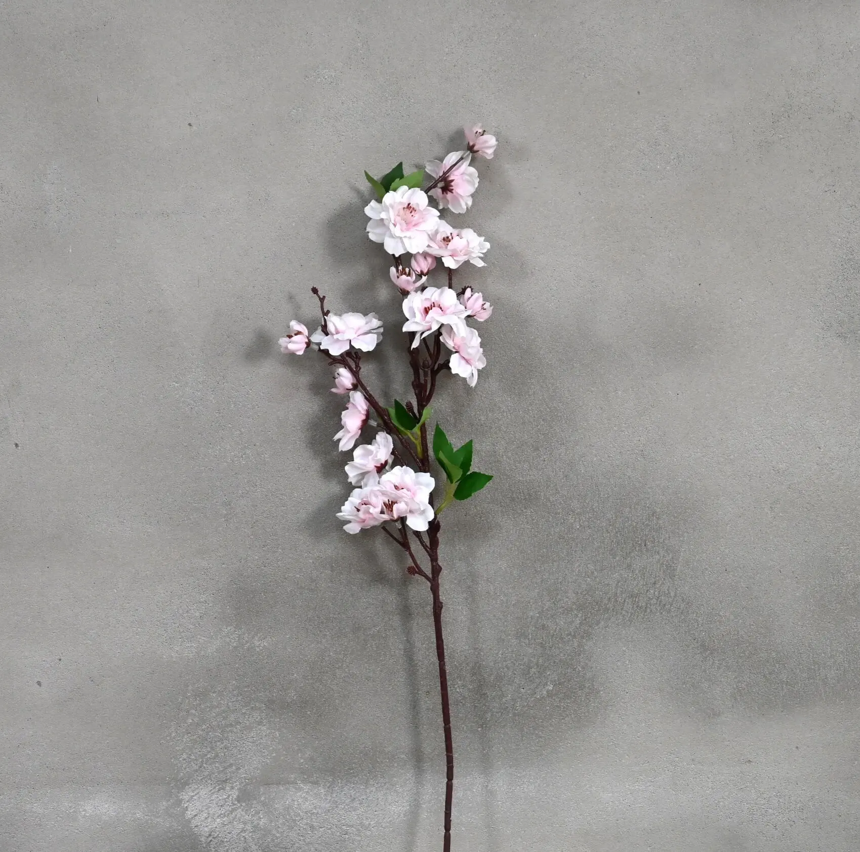 Kunst kersenbloesemtak licht roze