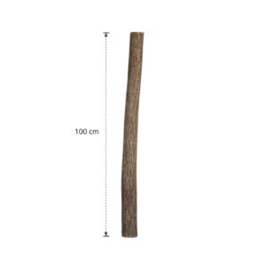 Lindenstam 100 cm (3)
