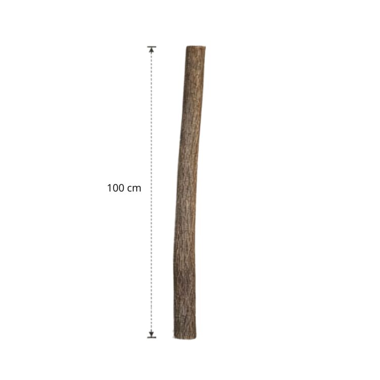 Lindenstam 100 cm (3)
