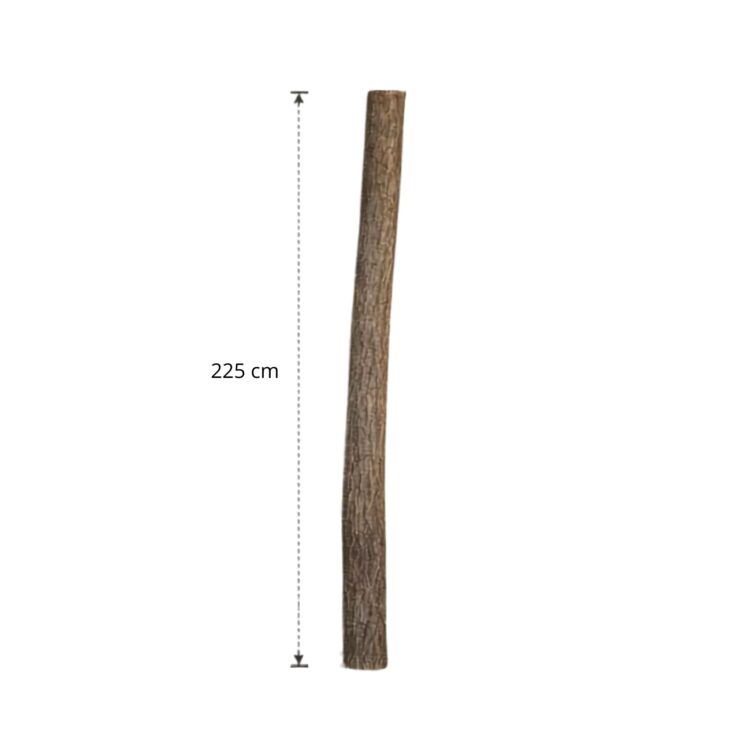 Lindenstam 225 cm (8)