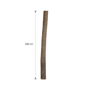 Lindenstam 300 cm (11)