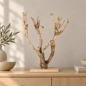 Natuurlijke decoratieve boom op eiken kast