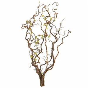 Natuurlijke hazelaartakbundel van 70 cm