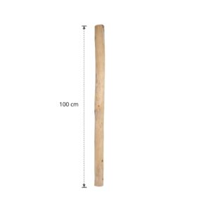 Ontschorste stam 100 cm (3)