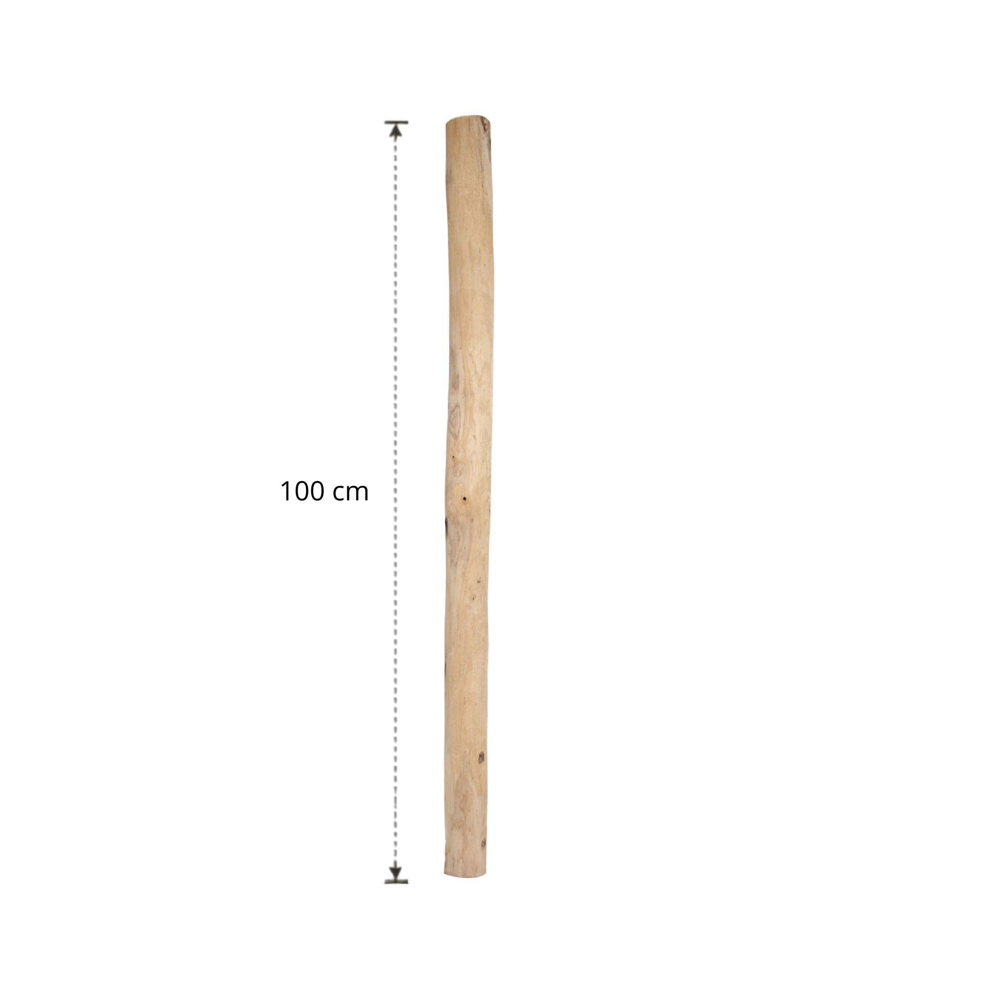 Ontschorste stam 100 cm (3)