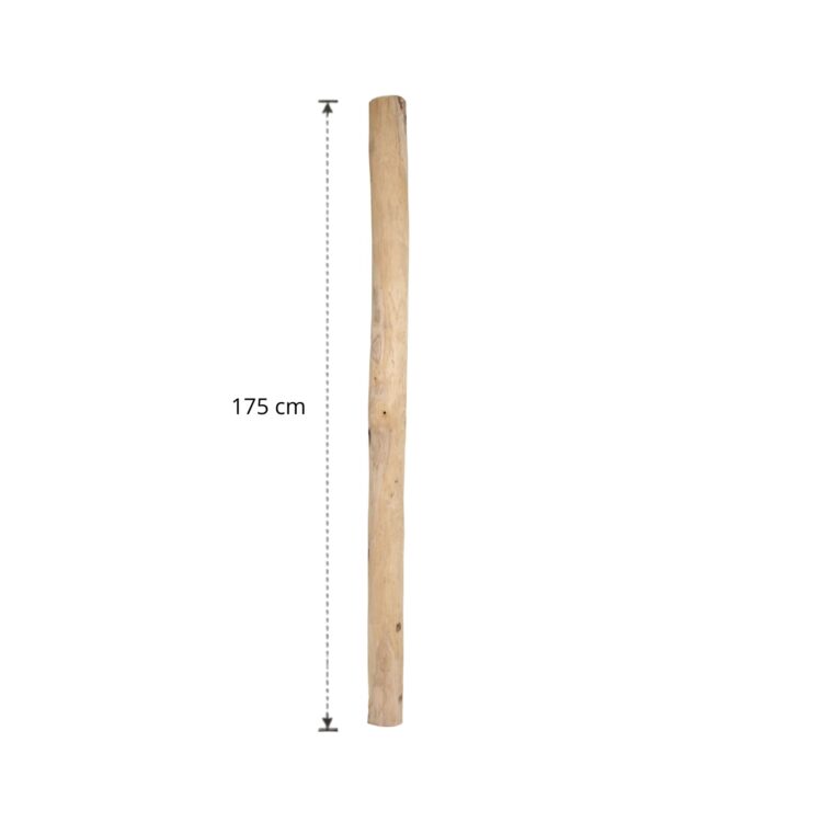 Ontschorste stam 175 cm (6)