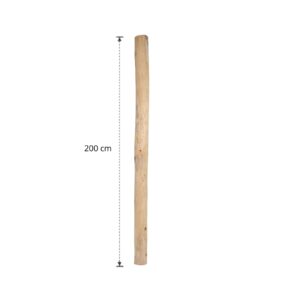 Ontschorste stam 200 cm (7)