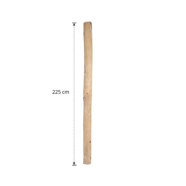Ontschorste stam 225 cm (8)