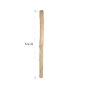 Ontschorste stam 275 cm (10)