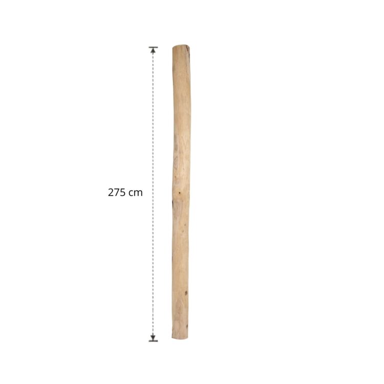 Ontschorste stam 275 cm (10)