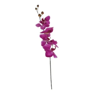 Orchidee Paars 75cm