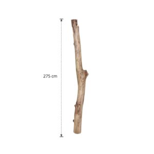 Oud eikenstam 275 cm (10)